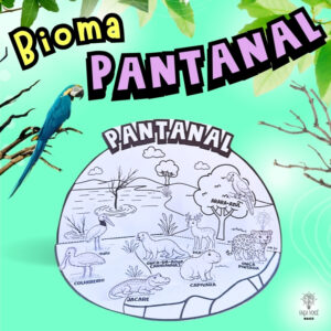 Biomas Do Brasil -Pantanal