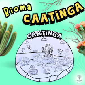 Biomas Do Brasil -Caatinga