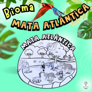 Biomas Do Brasil -Mata Atlântica