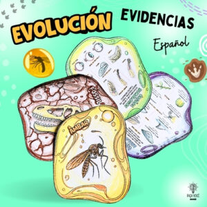 Evidencia de evolución (Español)
