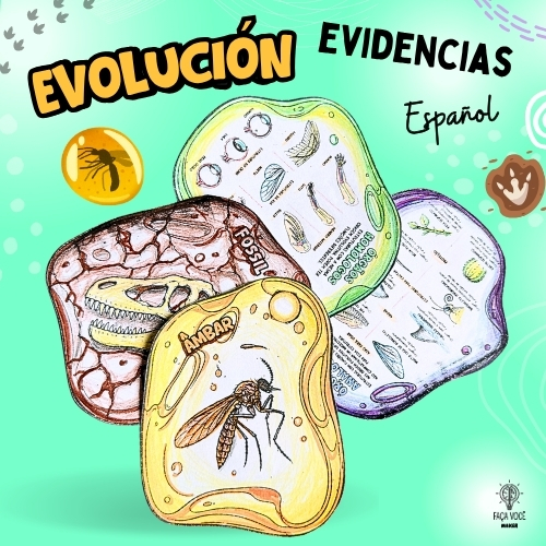 Evidencia de evolución (Español)