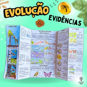 Evidências da Evolução