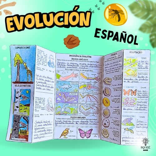 Evidencias de la evolución (Español)