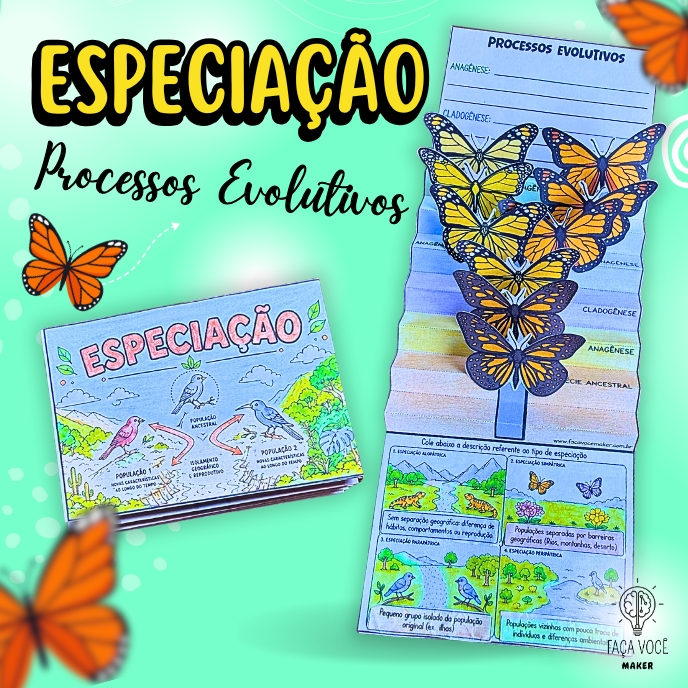 Especiação (Processos Evolutivos)