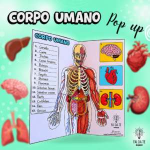 Corpo umano (Italiano)