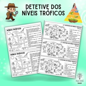 Níveis tróficos (Cadeia e teia alimentar)