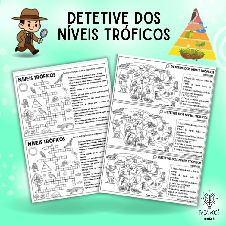 Níveis tróficos (Cadeia e teia alimentar)